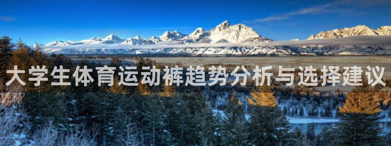 b体育必一运动官网
