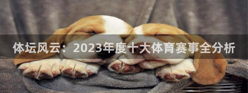 必一运动app