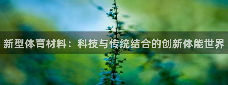 必一运动体育官网