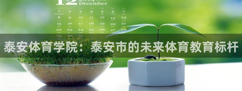 必一运动bsport体育