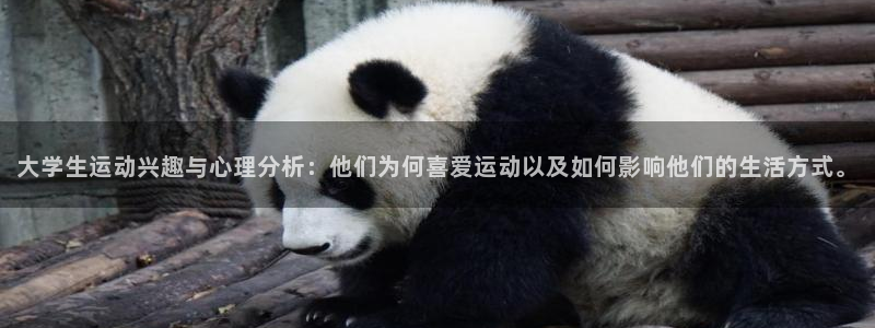 必一运动官网入口