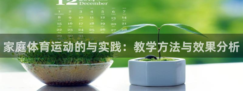 必一运动bsport体育