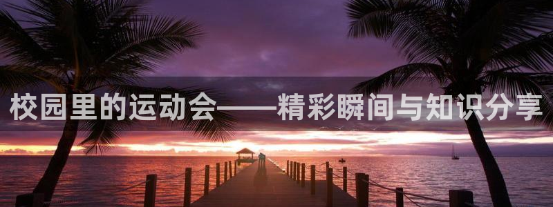 必一运动