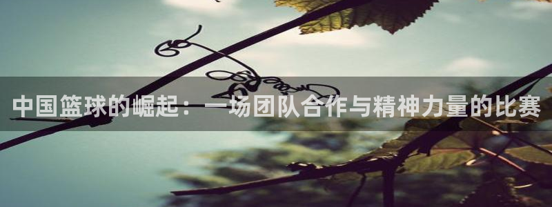必一运动体育官网入口