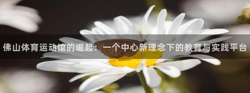 必一运动体育