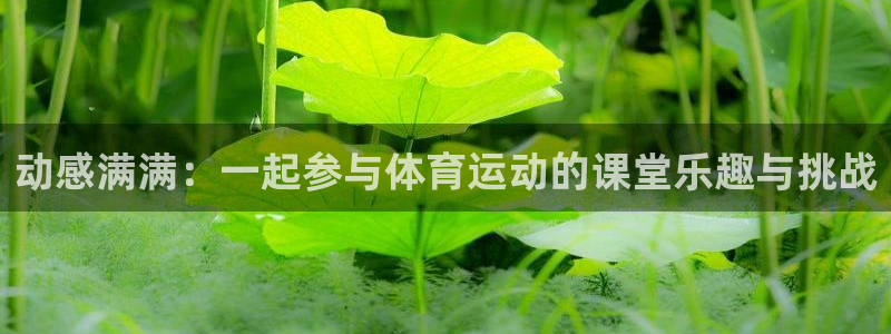 必一运动官网入口